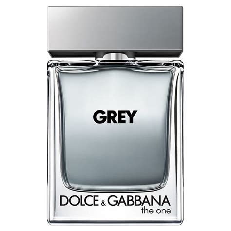 grey dolce gabbana prix|the one grey.